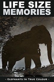 Life Size Memories: Elephants in True Colour - with optional English Language subtitles