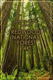 Redwood 4K [Ultra HD]