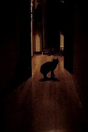 El terrible sueño de Li