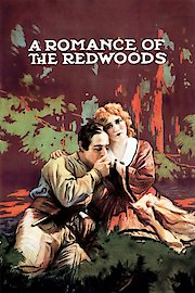 A Romance of The Redwoods