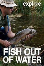 Fish Out Of Water