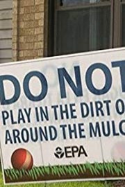 TYT News: Toxic Levels Of Lead In Soil Of East Chicago, Indiana