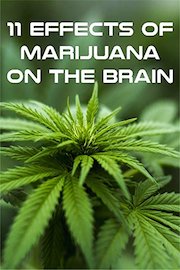 11 Effects of Marijuana on the Brain