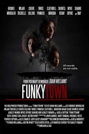 Funkytown