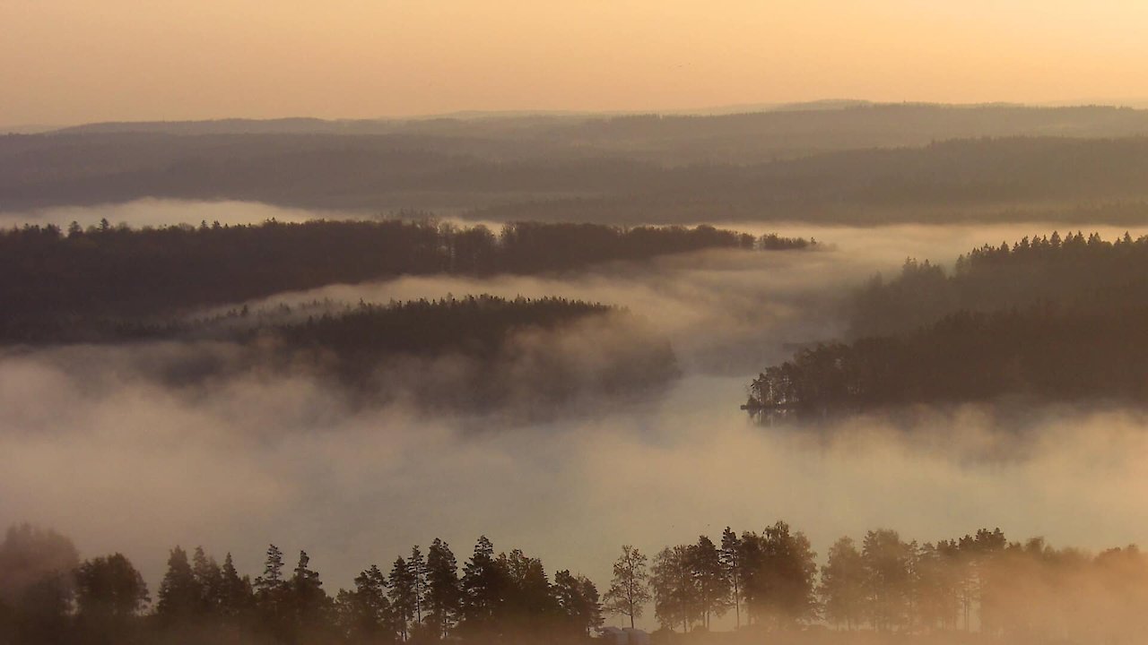Bohemia - A Year in the Wetlands