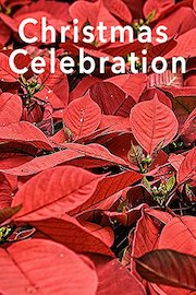Christmas Celebration