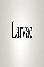 How To Pronounce Larvae
