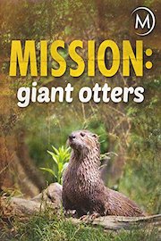Mission: Giant Otters