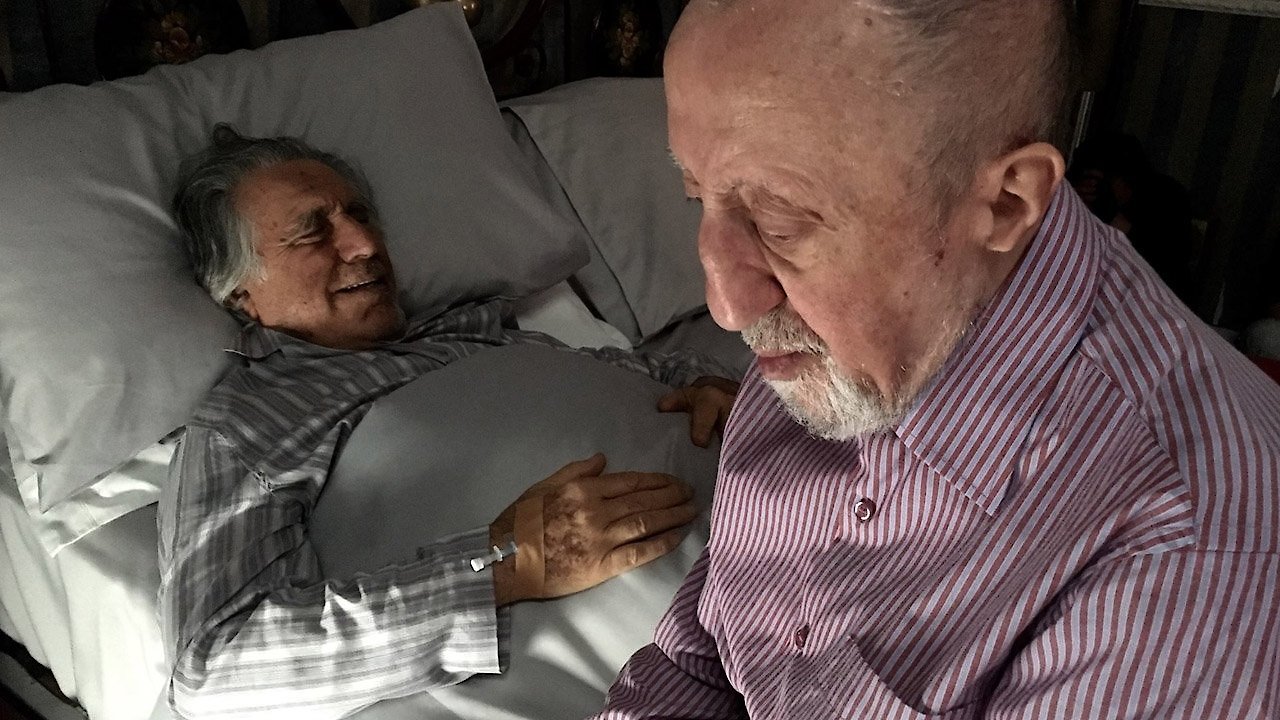 Who Will Save the Roses?