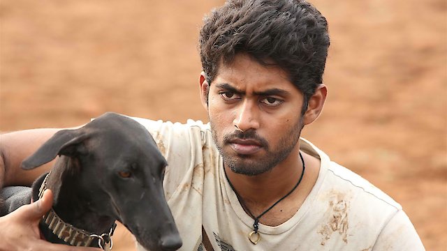 Pariyerum perumal full deals movie watch online