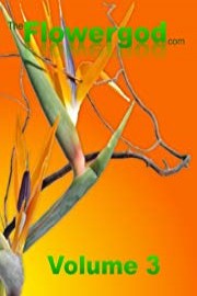 Floral Design By The Flowergod Volume 3