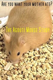 Are You What Your Mother Ate? The Agouti Mouse Study