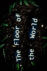 The Floor of the World