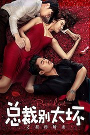 Young President and His Contract Wife