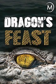 Dragon's Feast