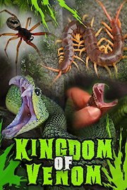 Kingdom of Venom
