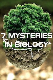7 Mysteries In Biology