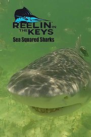 Reelin' In The Keys - Sea Squared Charters -Sharks