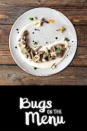 Bugs on the Menu