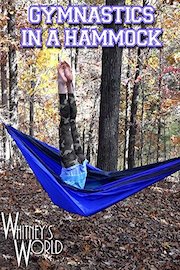 Hammock Gymnastics