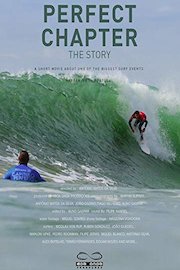 Perfect Chapter, The Story