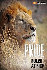 Pride - Ruler at Risk