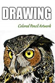 Time Lapse Drawing of an Owl