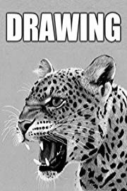 Time Lapse Drawing of a Leopard