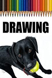 Time Lapse Drawing of a Black Labrador Puppy