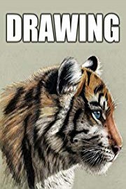 Time Lapse Drawing of a Tiger Cub