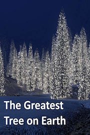 The Greatest Tree on Earth