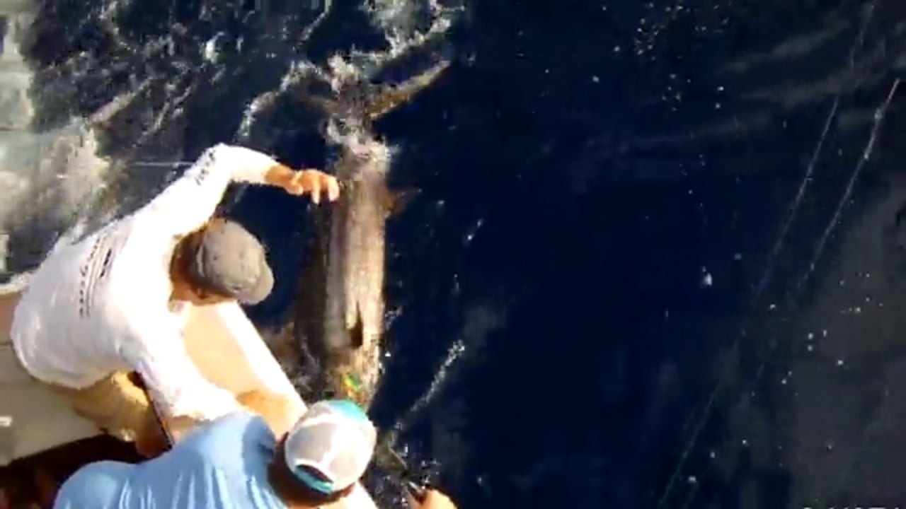 Reelin' In The Keys - Hemingway Challenge 2016