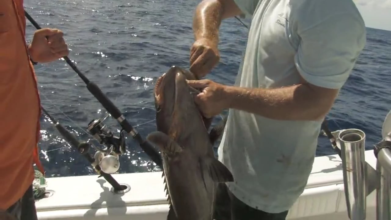 Reelin' In The Keys- Unleashed Charters