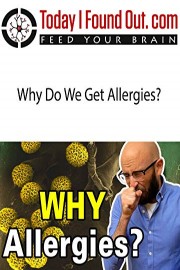 Why Do We Get Allergies?