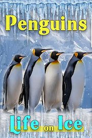 Penguins Life On Ice