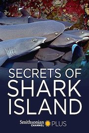 Secrets of Shark Island