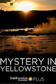 Mystery In Yellowstone