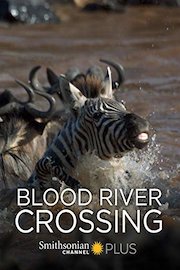 Blood River Crossing