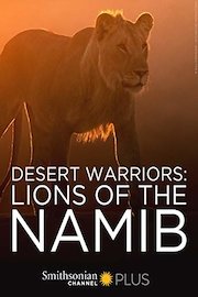 Desert Warriors: Lions of the Namib