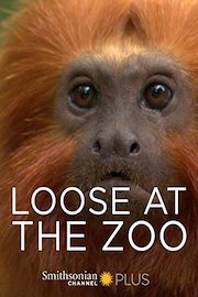 Loose at the Zoo