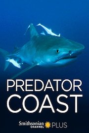 The Predator Coast