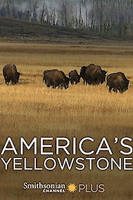 America's Yellowstone