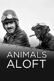 Animals Aloft