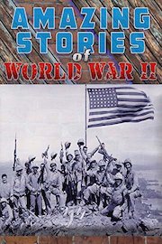 Amazing Stories of World War II