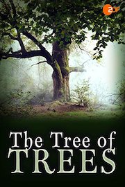 The Tree of Trees