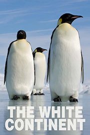 The White Continent