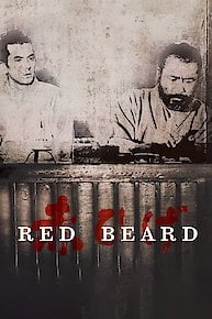 Red Beard