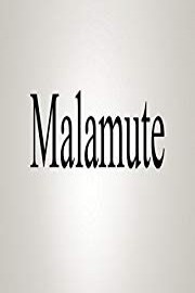 How To Pronounce Malamute