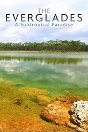 The Everglades: A Subtropical Paradise