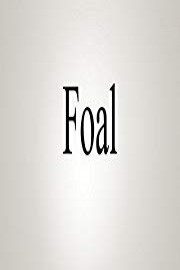 How To Pronounce Foal